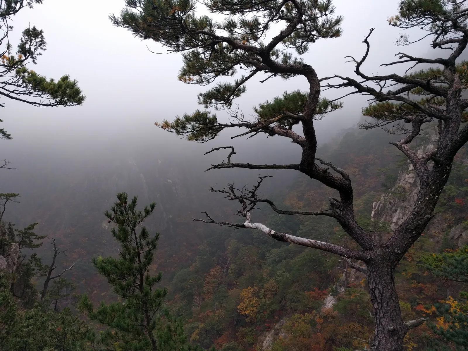 Sokcho, South Korea — 20 October 2016