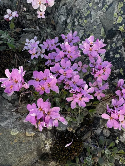 Kyperoúnta, Cyprus — 31 March 2024