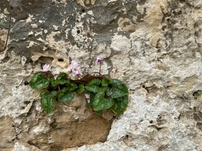 Paphos, Cyprus — 1 April 2023