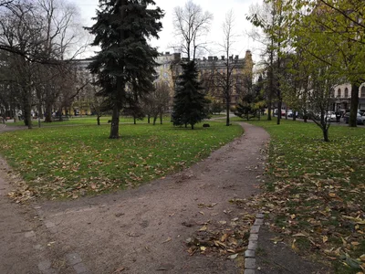 Photo from 4 November 2018