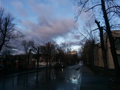 Photo from 7 December 2015