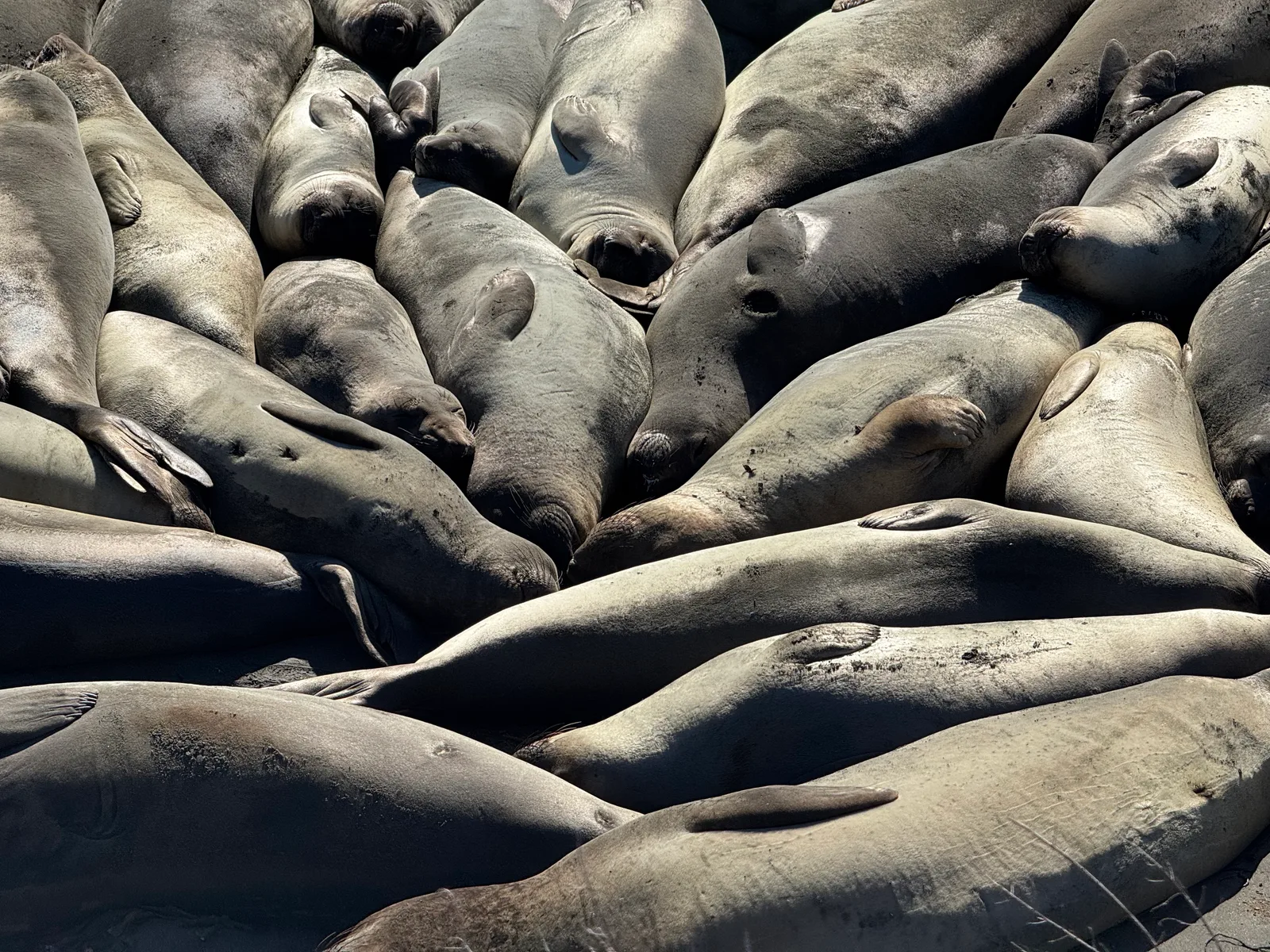 Cambria, United States — 26 October 2025