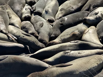 Cambria, United States — 26 October 2025