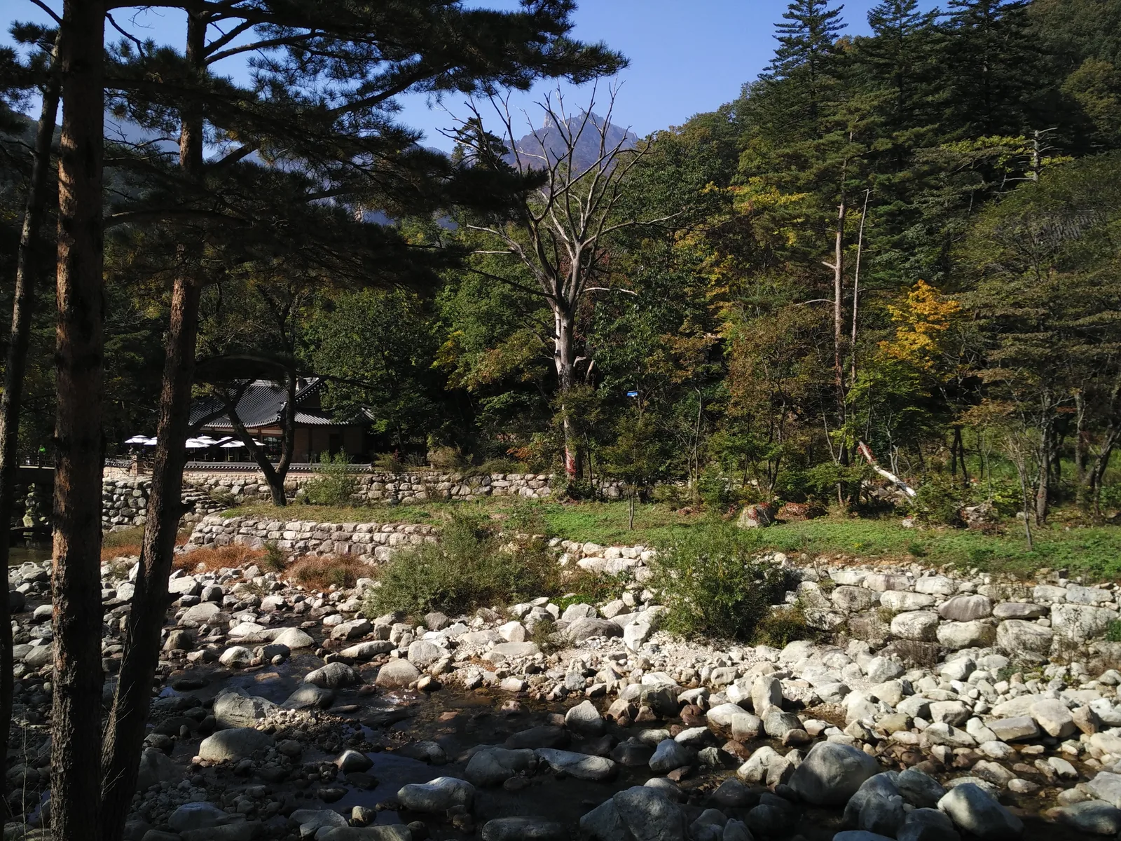 Sokcho, South Korea — 19 October 2016