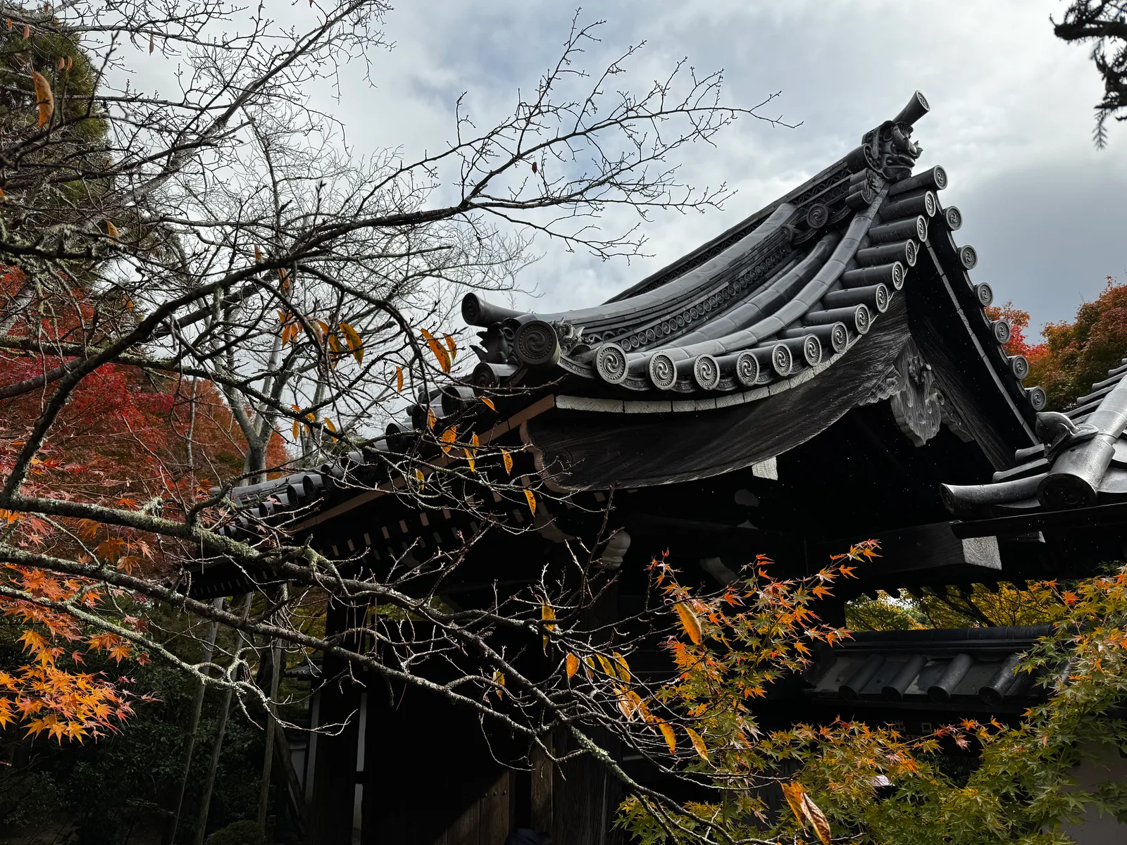 Kyoto, Japan — 24 November 2024