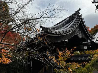 Kyoto, Japan — 24 November 2024