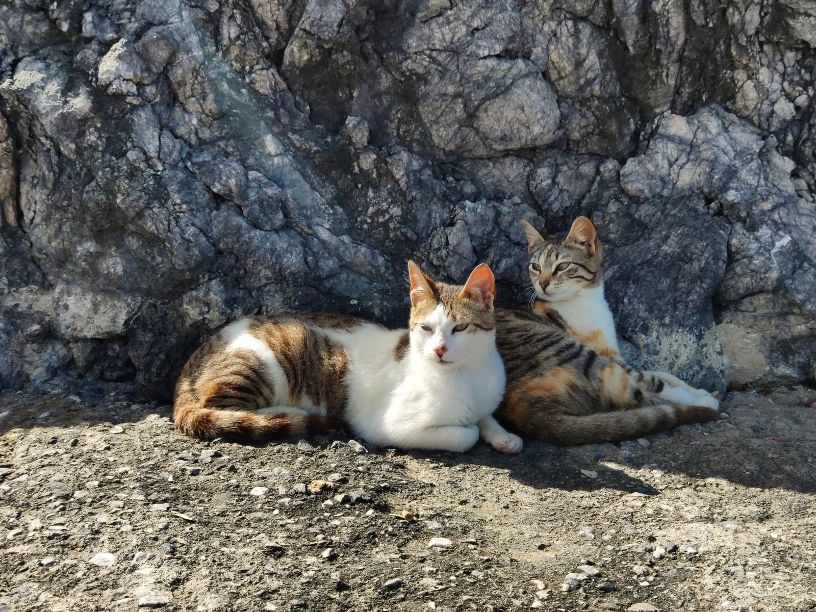 Photo from 18 March 2019