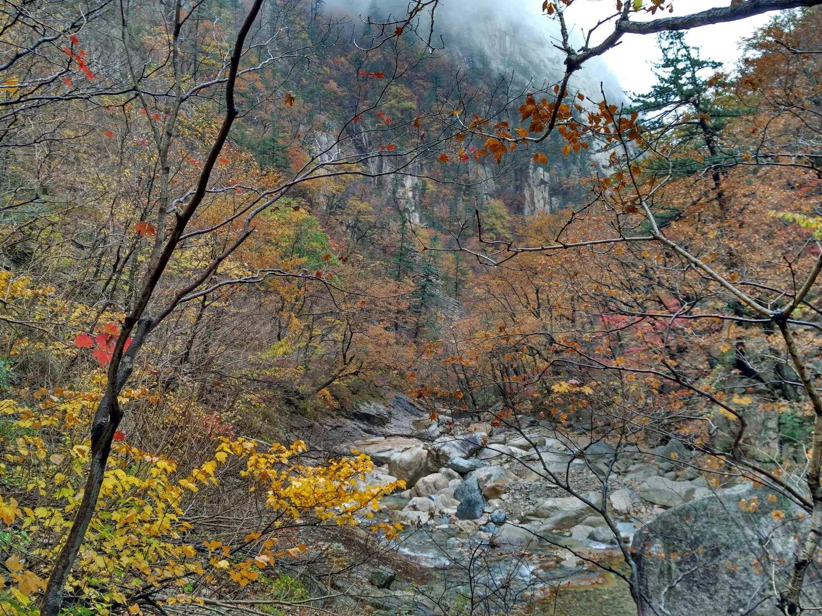 Sokcho, South Korea — 21 October 2016