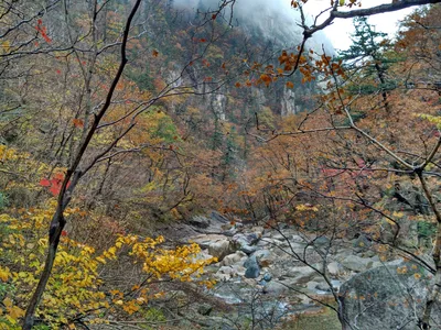 Sokcho, South Korea — 21 October 2016