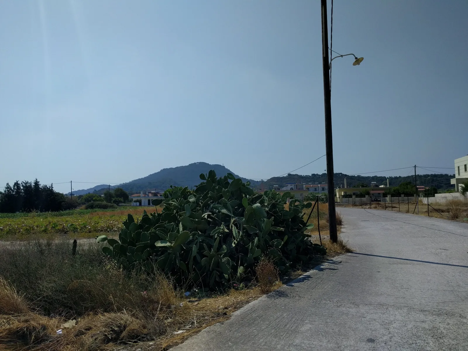 Photo from 7 August 2017