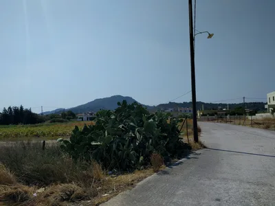Photo from 7 August 2017