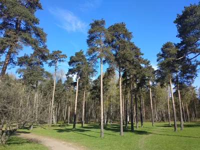 Kalininskiy, Russia — 8 May 2018