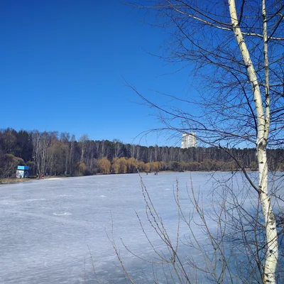 Photo from 28 March 2016