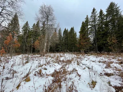 Trëkhgornyy, Russia — 16 October 2021