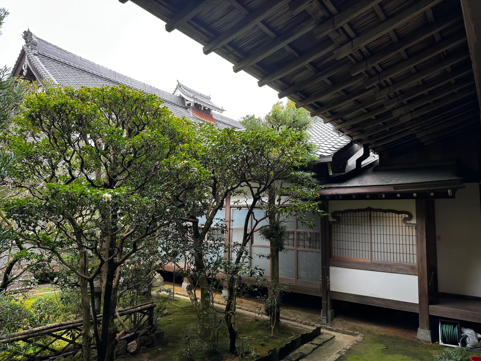Kyoto, Japan — 24 November 2024