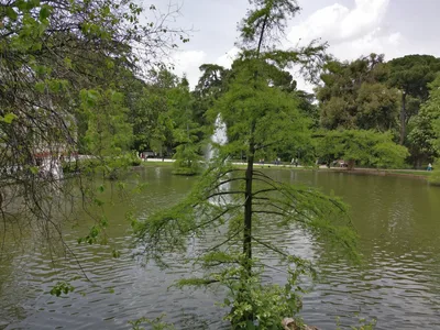 Retiro, Spain — 25 April 2017