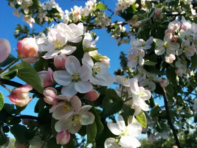 Photo from 9 May 2014