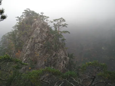 Sokcho, South Korea — 20 October 2016