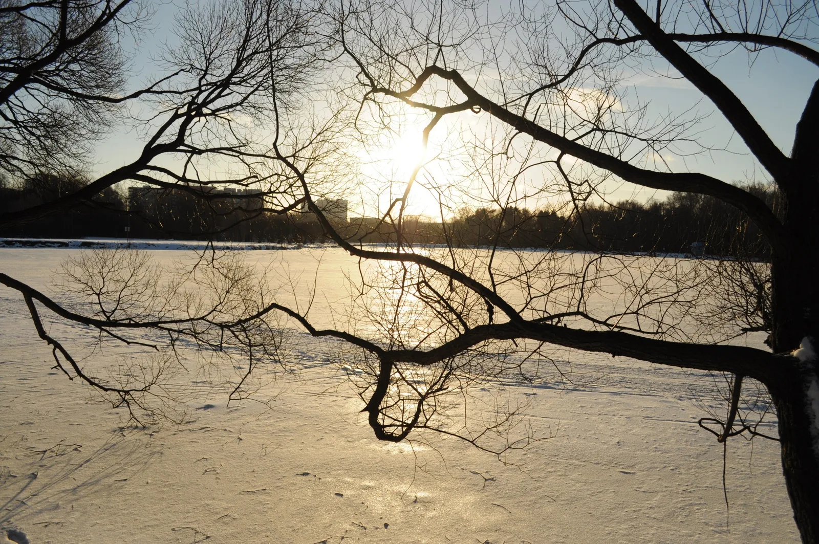 Photo from 15 December 2013