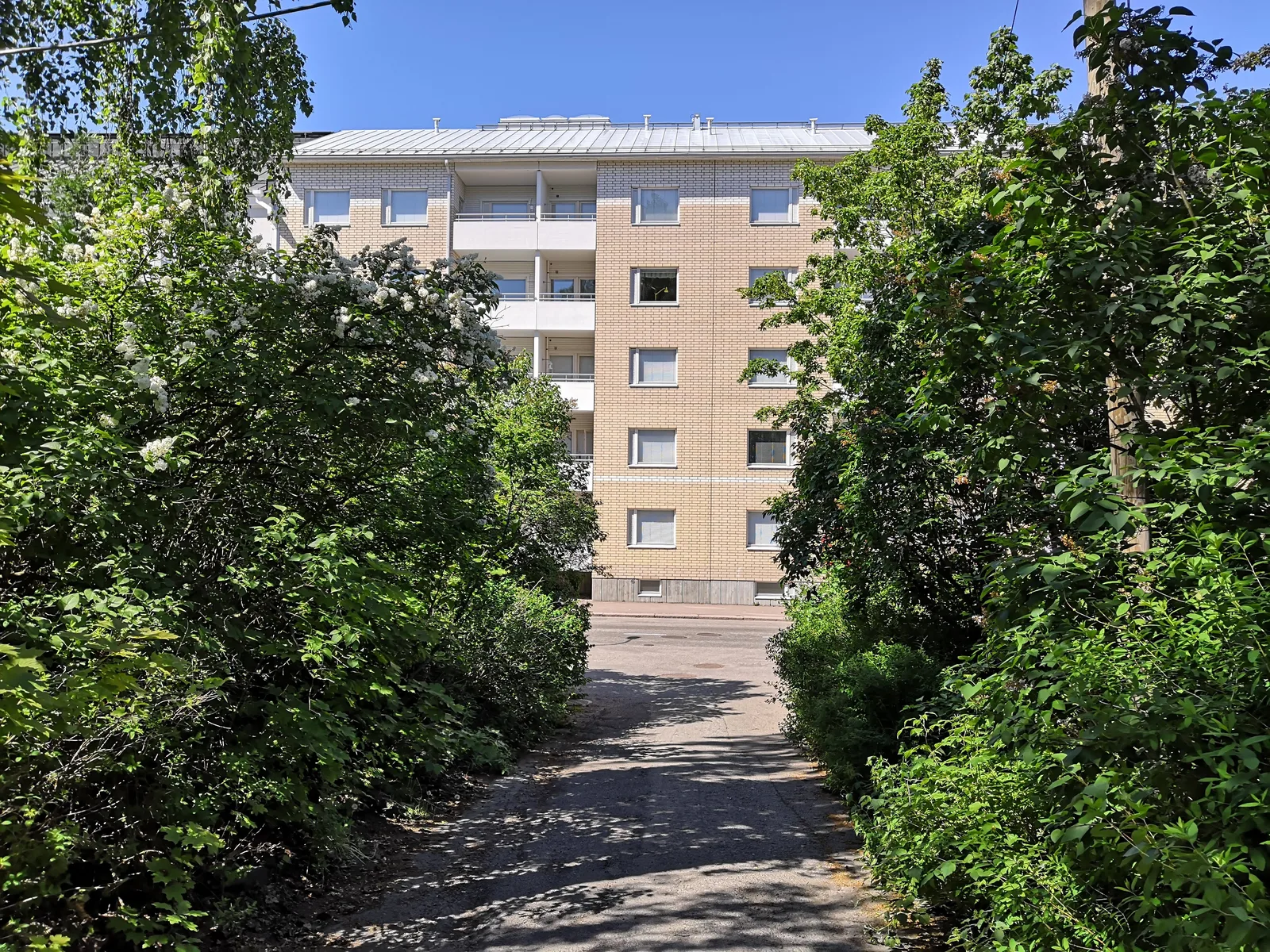 Photo from 16 June 2019
