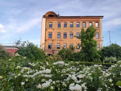 Photo from 12 June 2019
