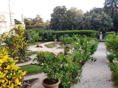 Photo from 19 July 2019
