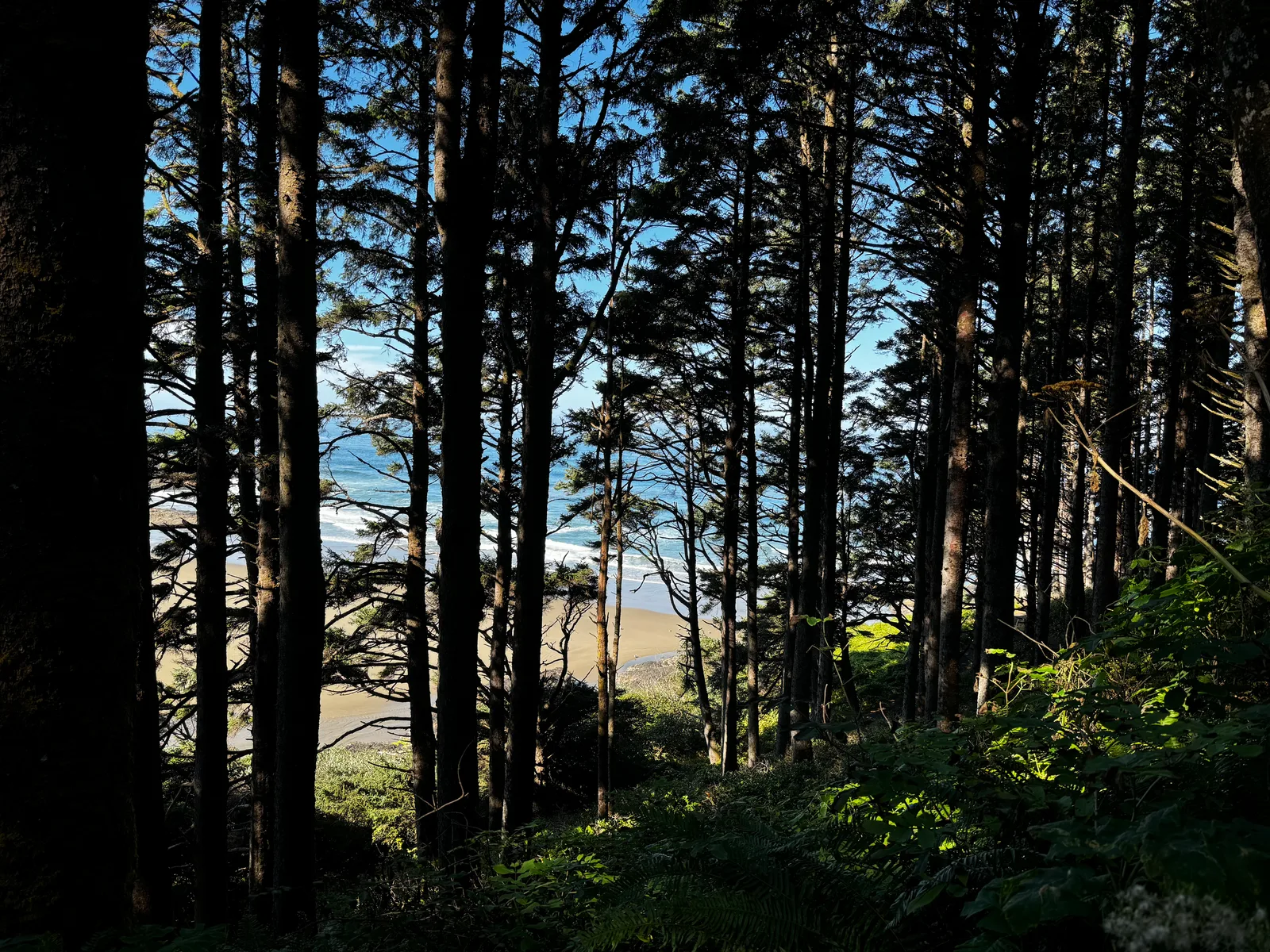 Waldport, United States — 26 August 2024