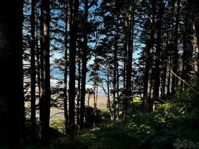 Waldport, United States — 26 August 2024