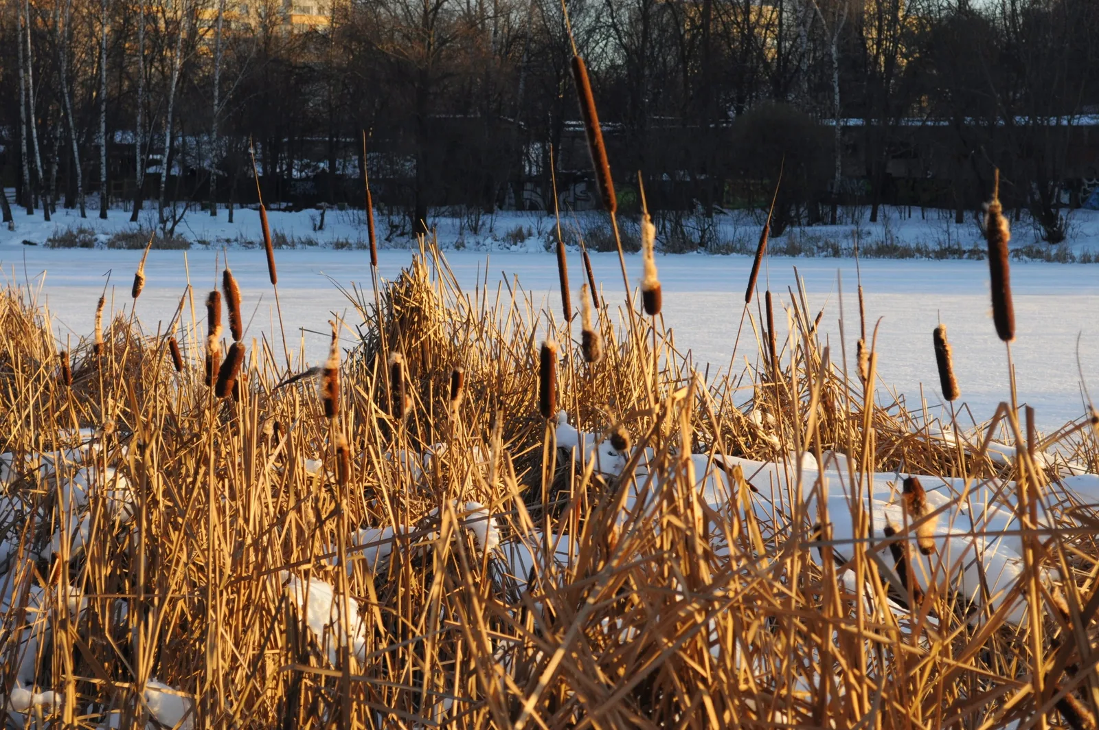 Photo from 15 December 2013