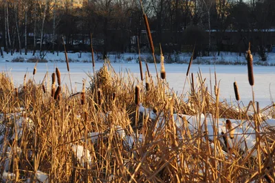 Photo from 15 December 2013