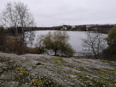 Taka-Töölö, Finland — 6 November 2018