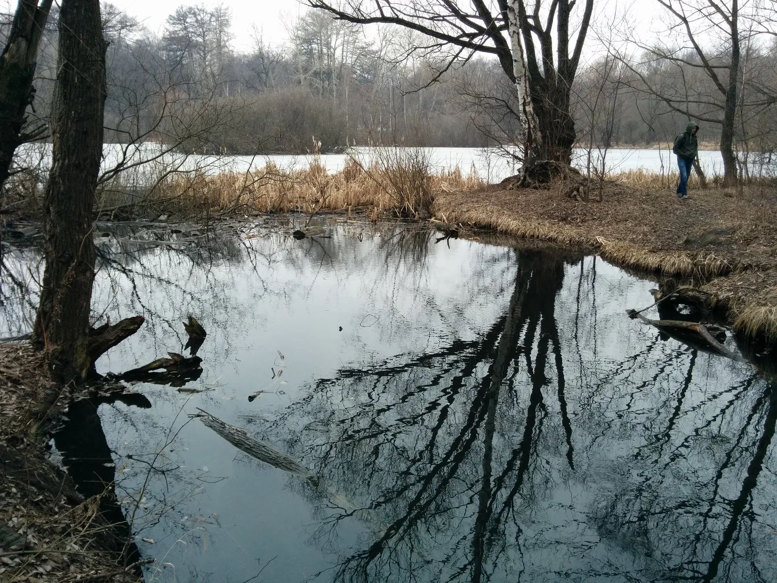 Photo from 21 March 2015