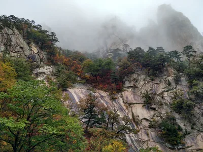 Sokcho, South Korea — 21 October 2016