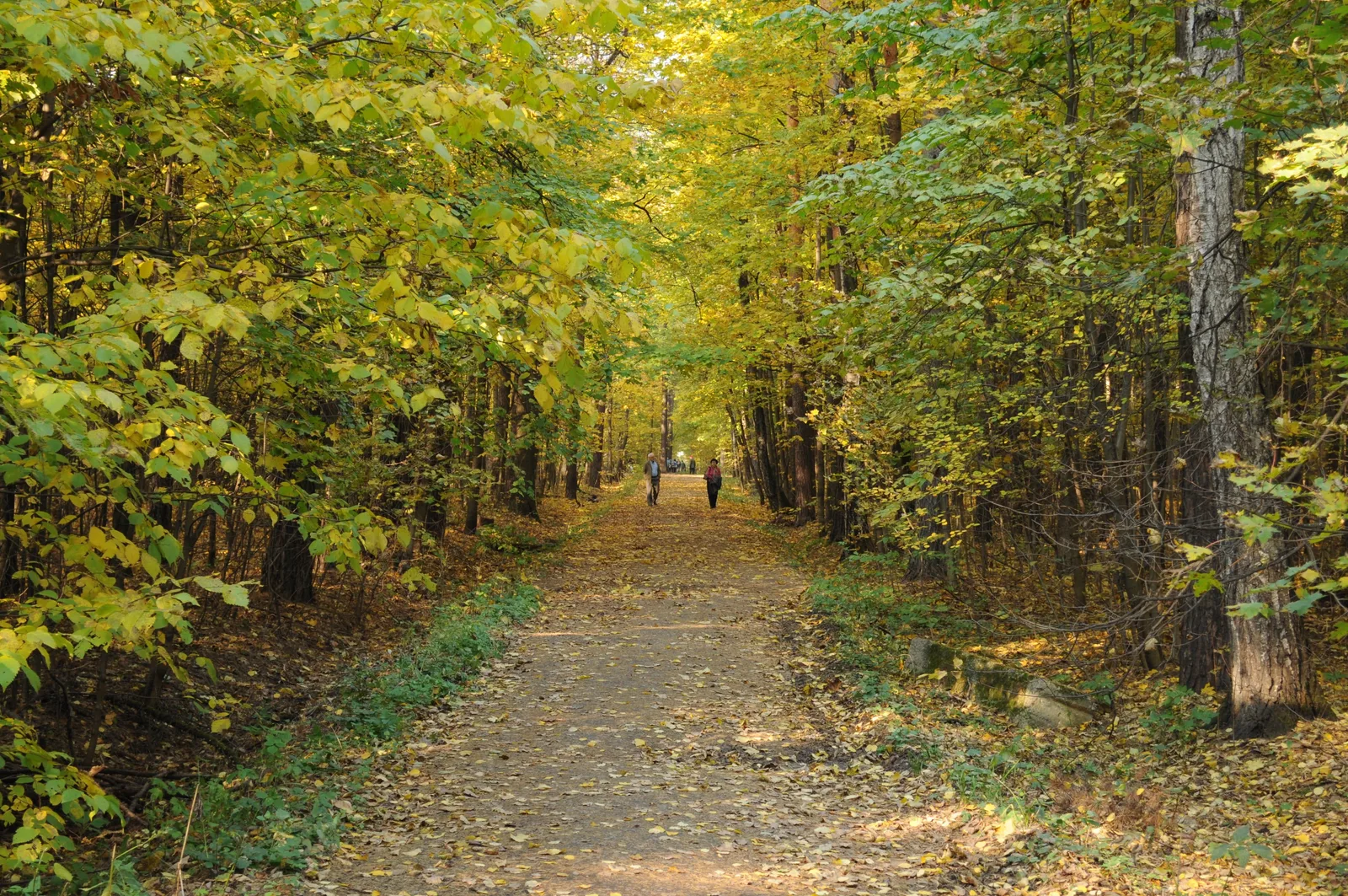 Photo from 8 October 2011