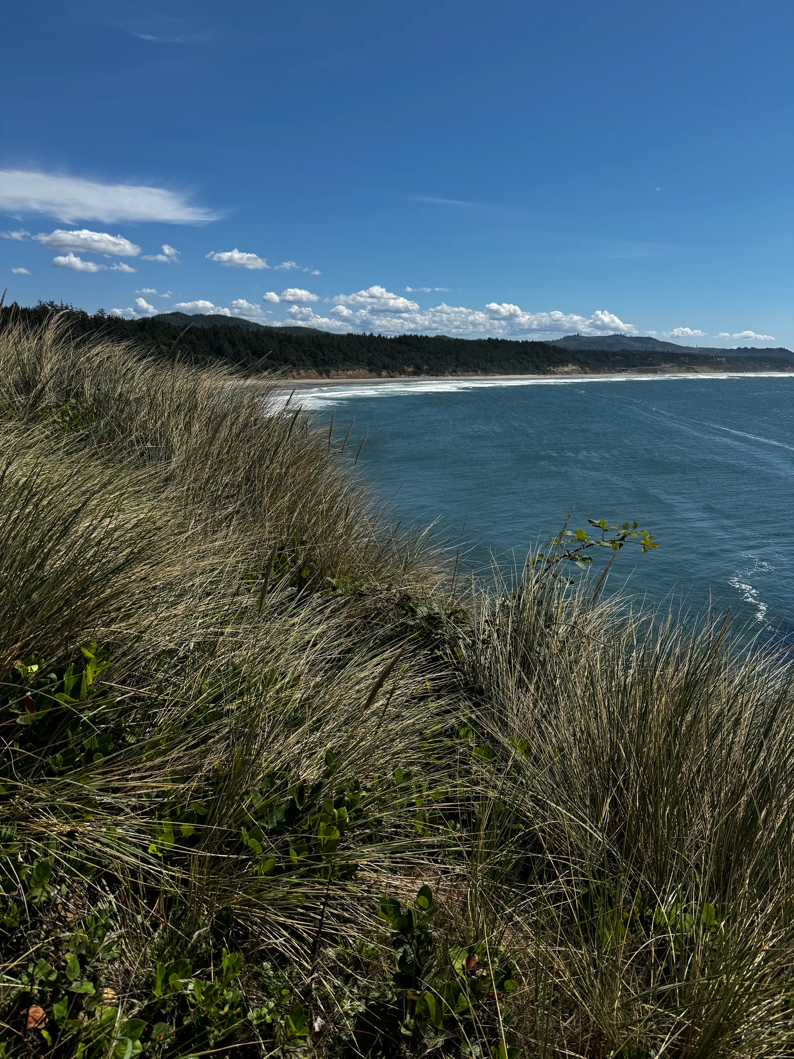 Depoe Bay, United States — 25 August 2024