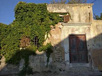 Photo from 11 August 2017