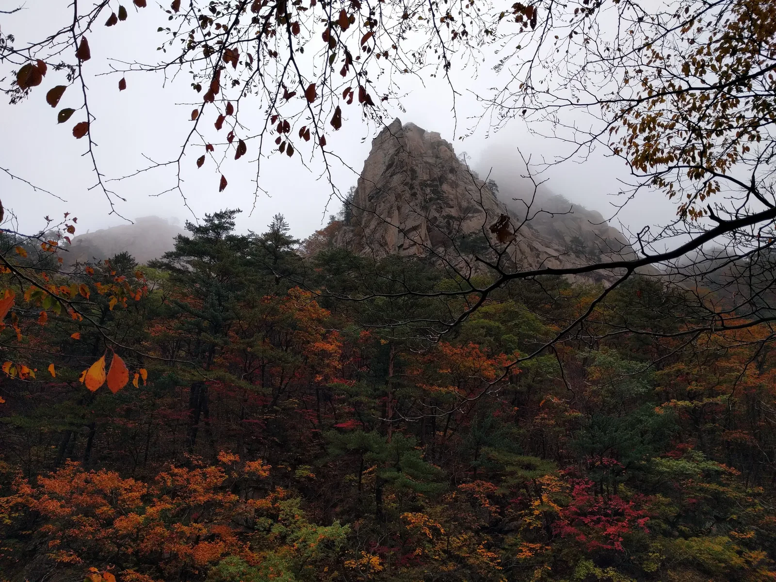 Sokcho, South Korea — 21 October 2016