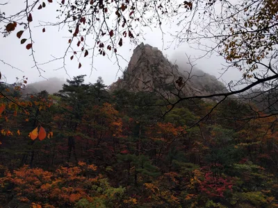 Sokcho, South Korea — 21 October 2016