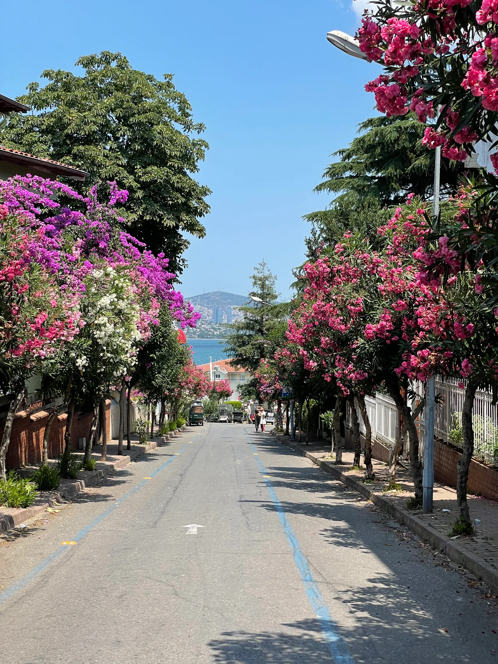 Adalar, Turkey — 26 July 2021