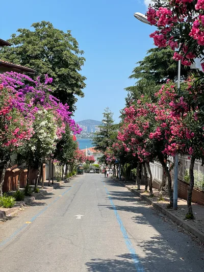Adalar, Turkey — 26 July 2021