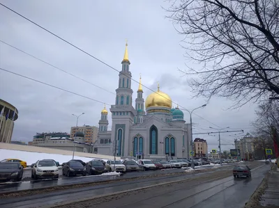 Photo from 23 February 2016