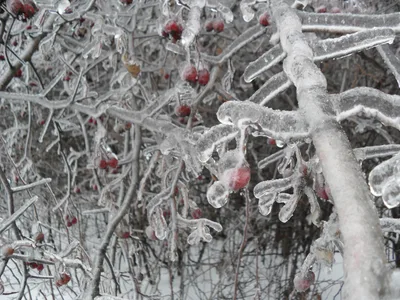 Photo from 26 December 2010
