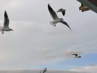 Eminönü, Turkey — 3 January 2020
