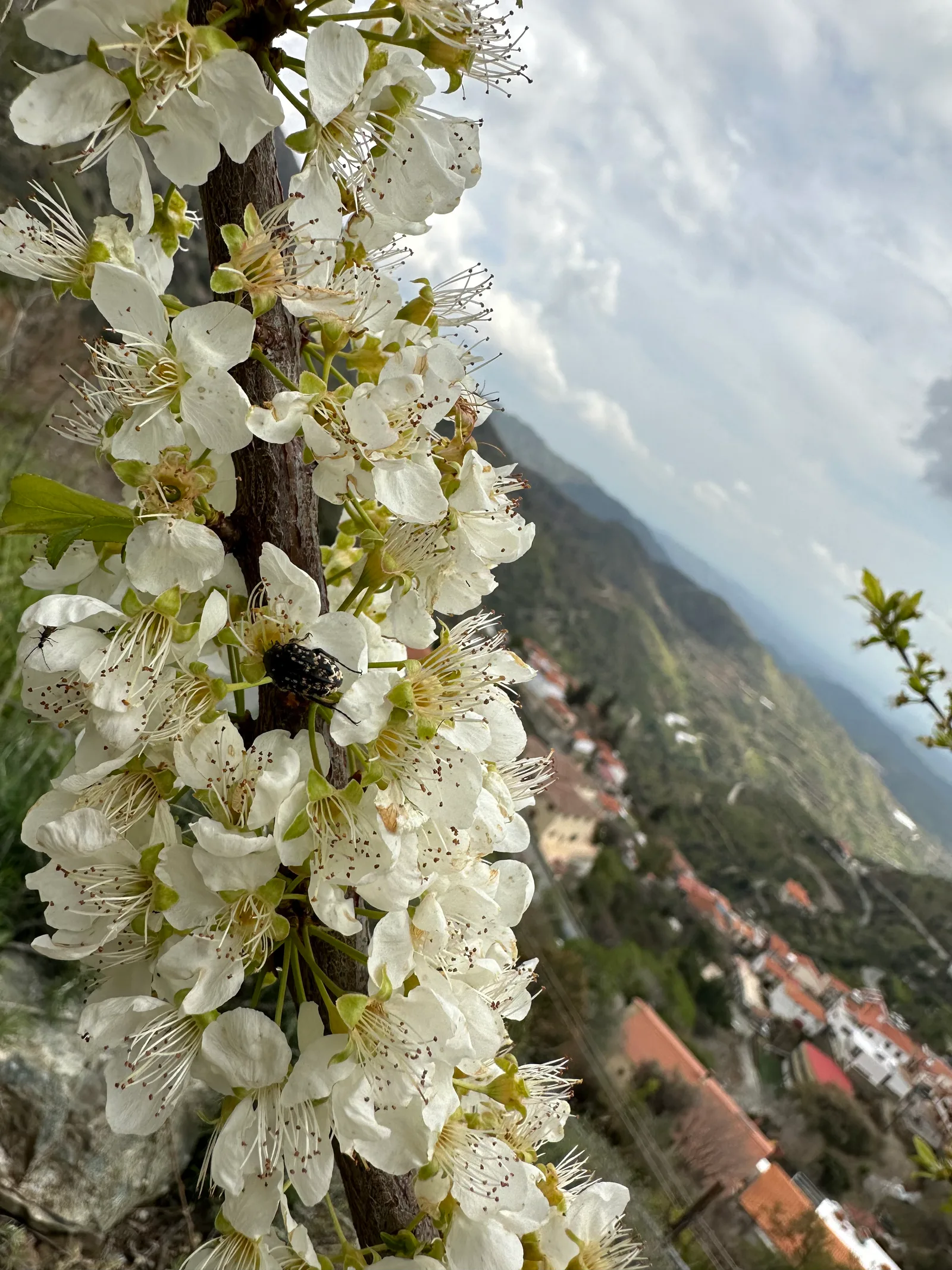 Klírou, Cyprus — 25 March 2023