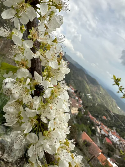 Klírou, Cyprus — 25 March 2023