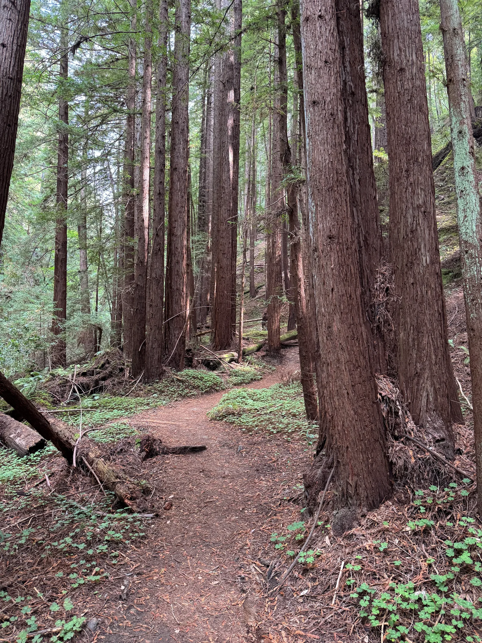 Day Valley, United States — 22 October 2025