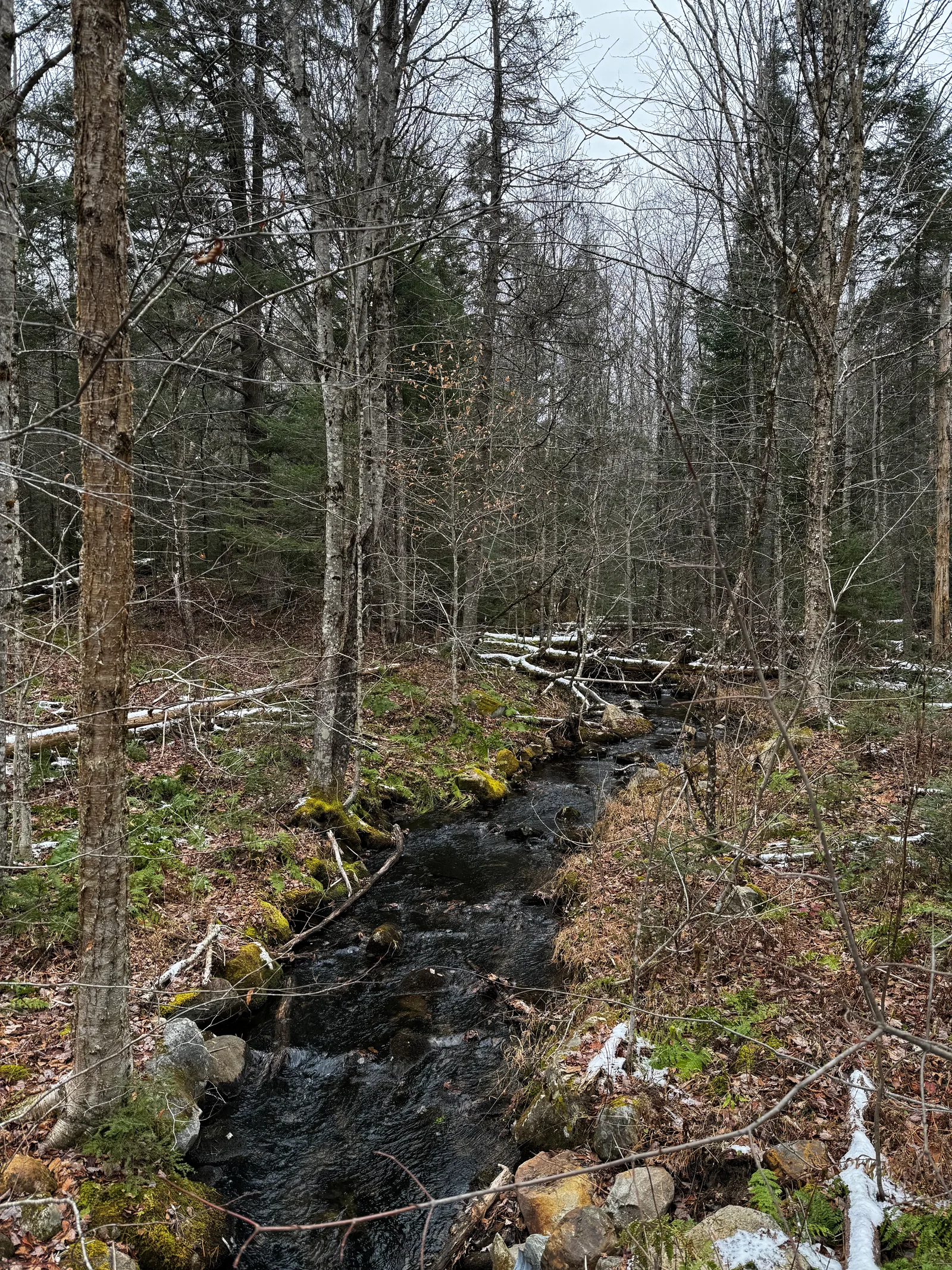 North Haverhill, United States — 12 November 2023
