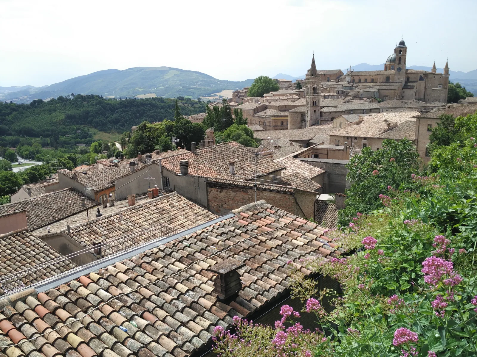 Urbino, Italy — 16 June 2016