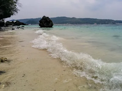 Photo from 6 February 2016