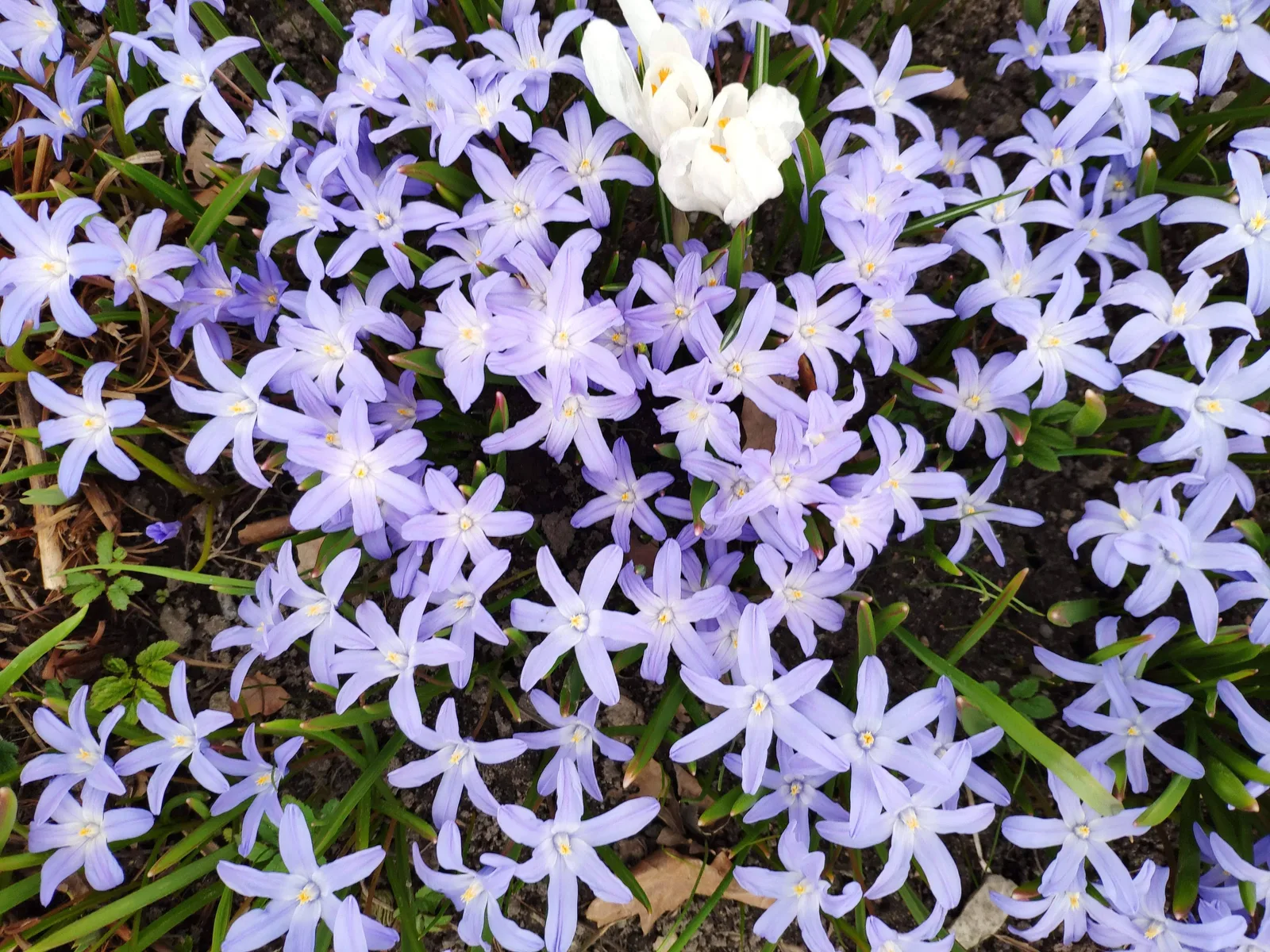 Photo from 20 April 2019
